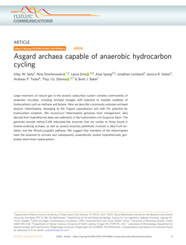 Asgard Archaea Capable of Anaerobic Hydrocarbon Cycling