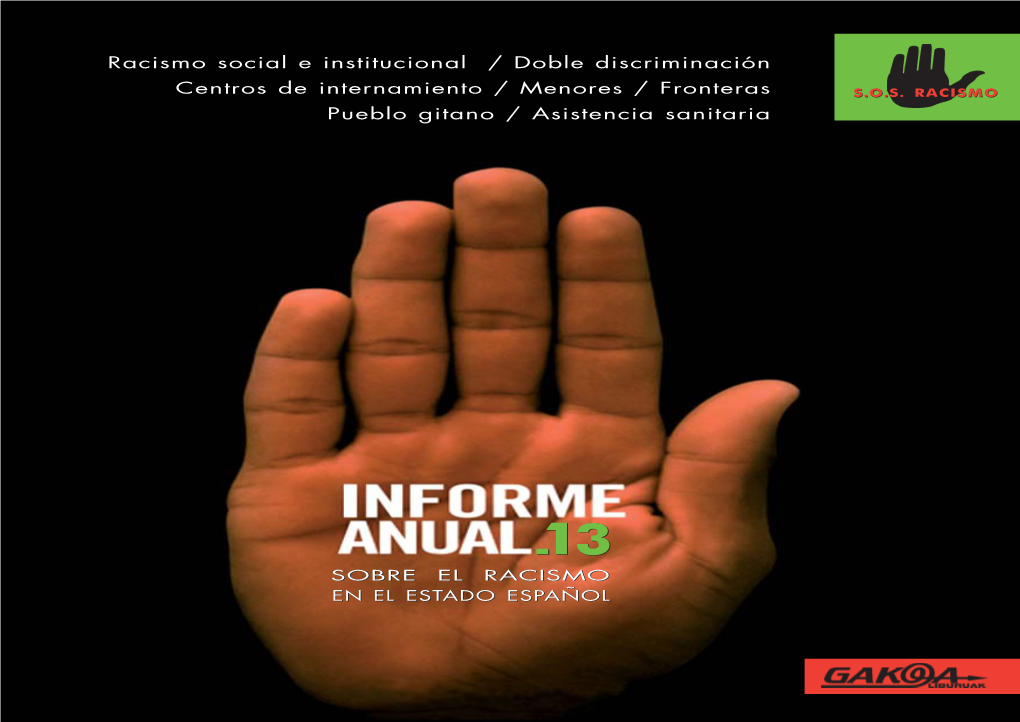 Informe Anual 2013