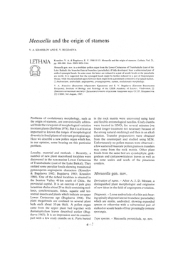 Meeusella and the Origin of Stamens