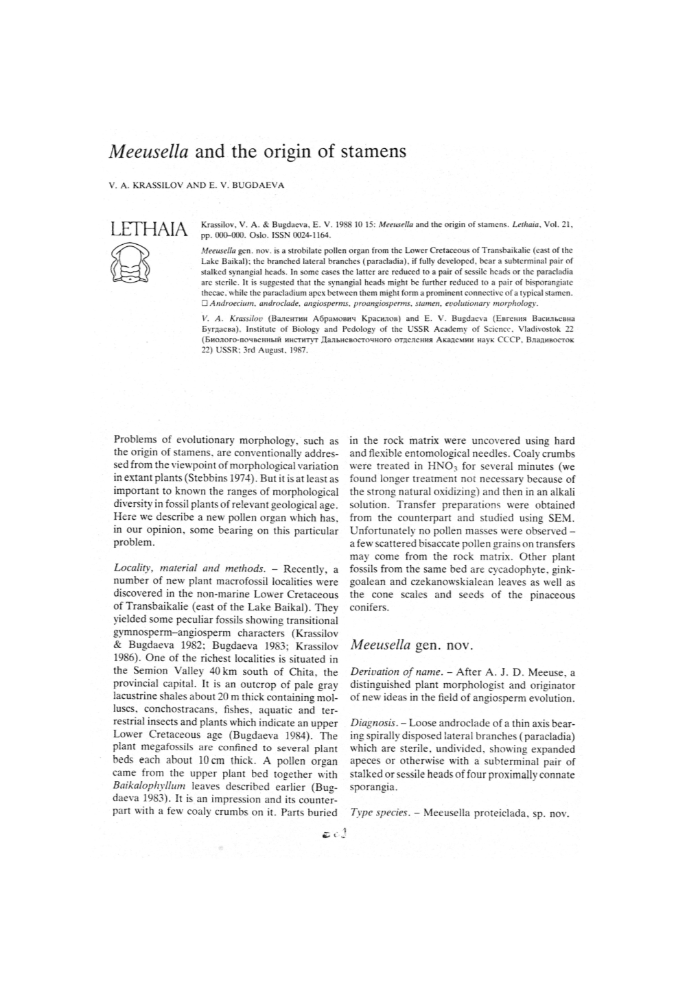 Meeusella and the Origin of Stamens