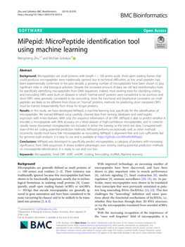 Mipepid: Micropeptide Identification Tool Using Machine Learning Mengmeng Zhu1,2 and Michael Gribskov2*