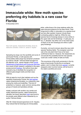 New Moth Species Preferring Dry Habitats Is a Rare Case for Florida 10 November 2015