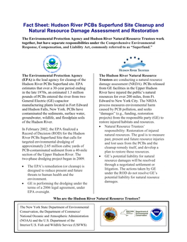 Hudson River Pcbs Superfund Site Cleanup and Natural Resource