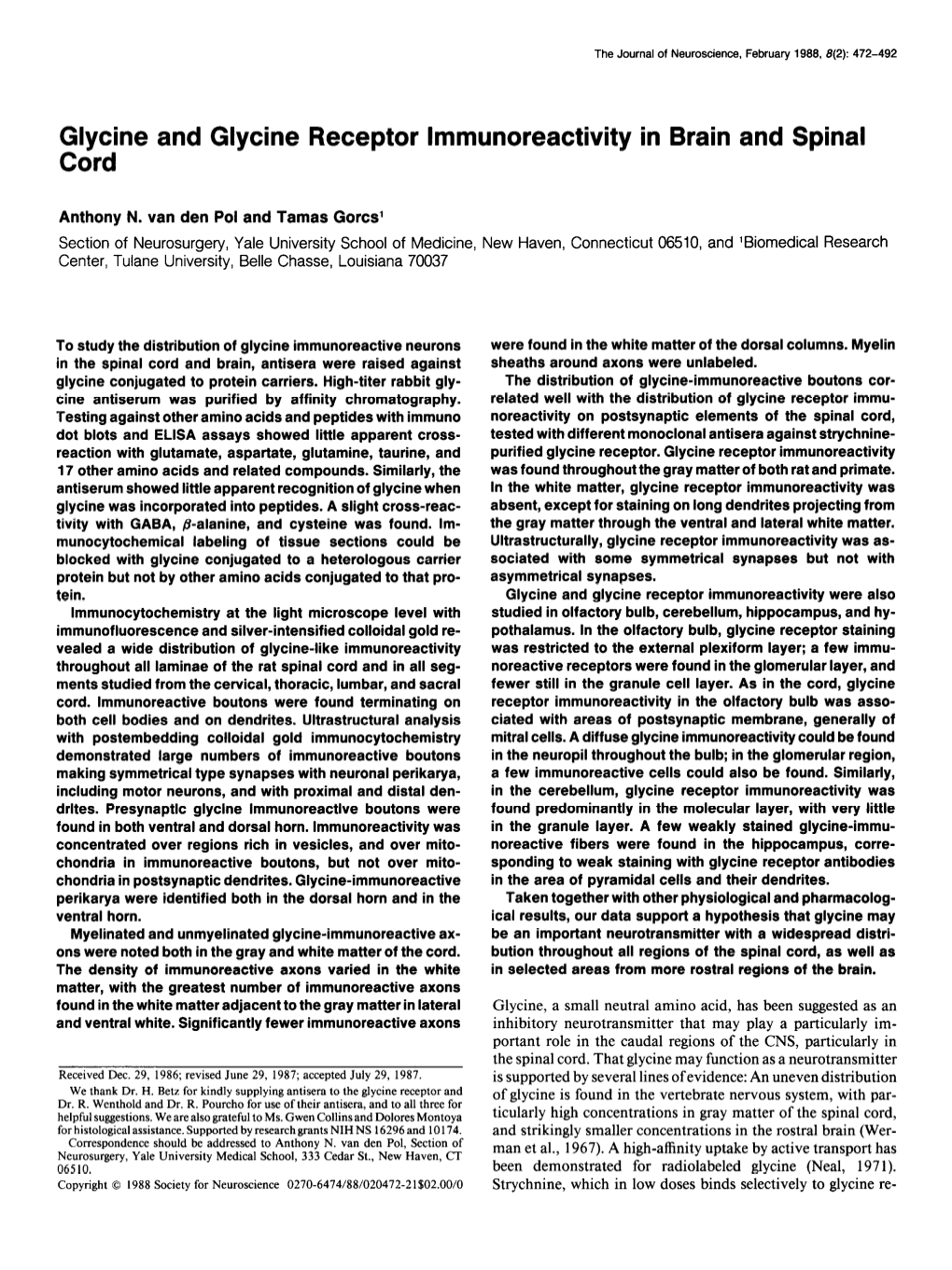 Glycine and Glycine Receptor Lmmunoreactivity in Brain and Spinal Cord