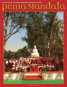Pema Mandala 3 in This Issue