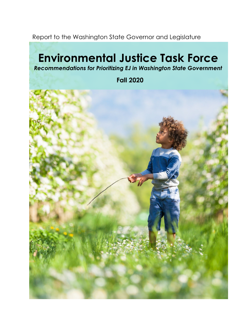 WA State Environmental Justice Task Force Final Report