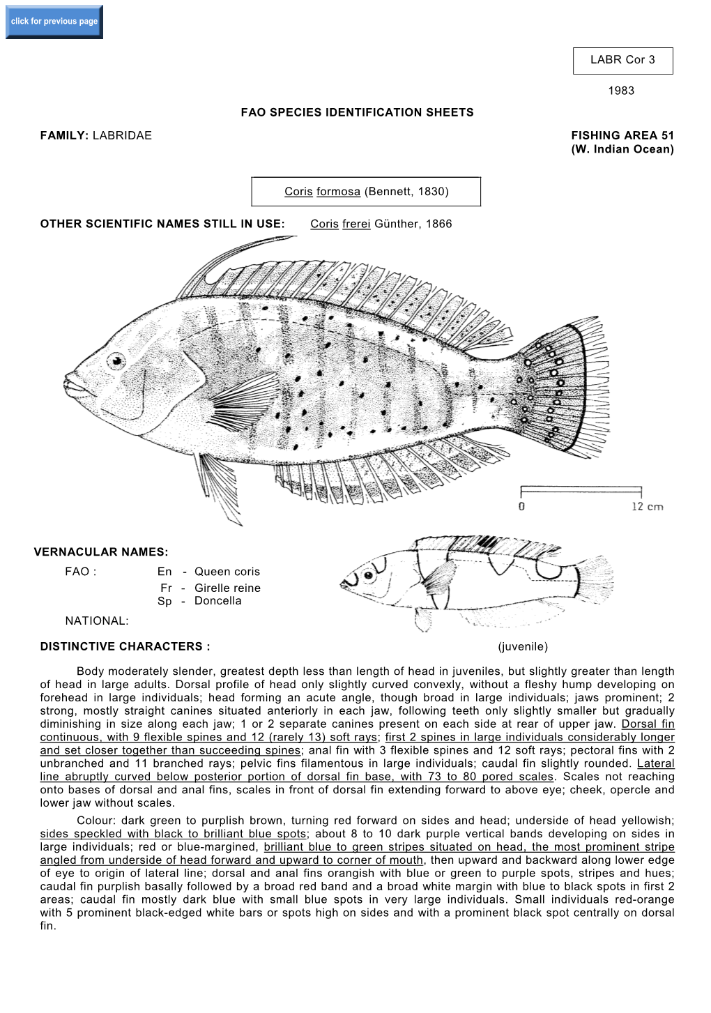 Labridae Fishing Area 51 (W