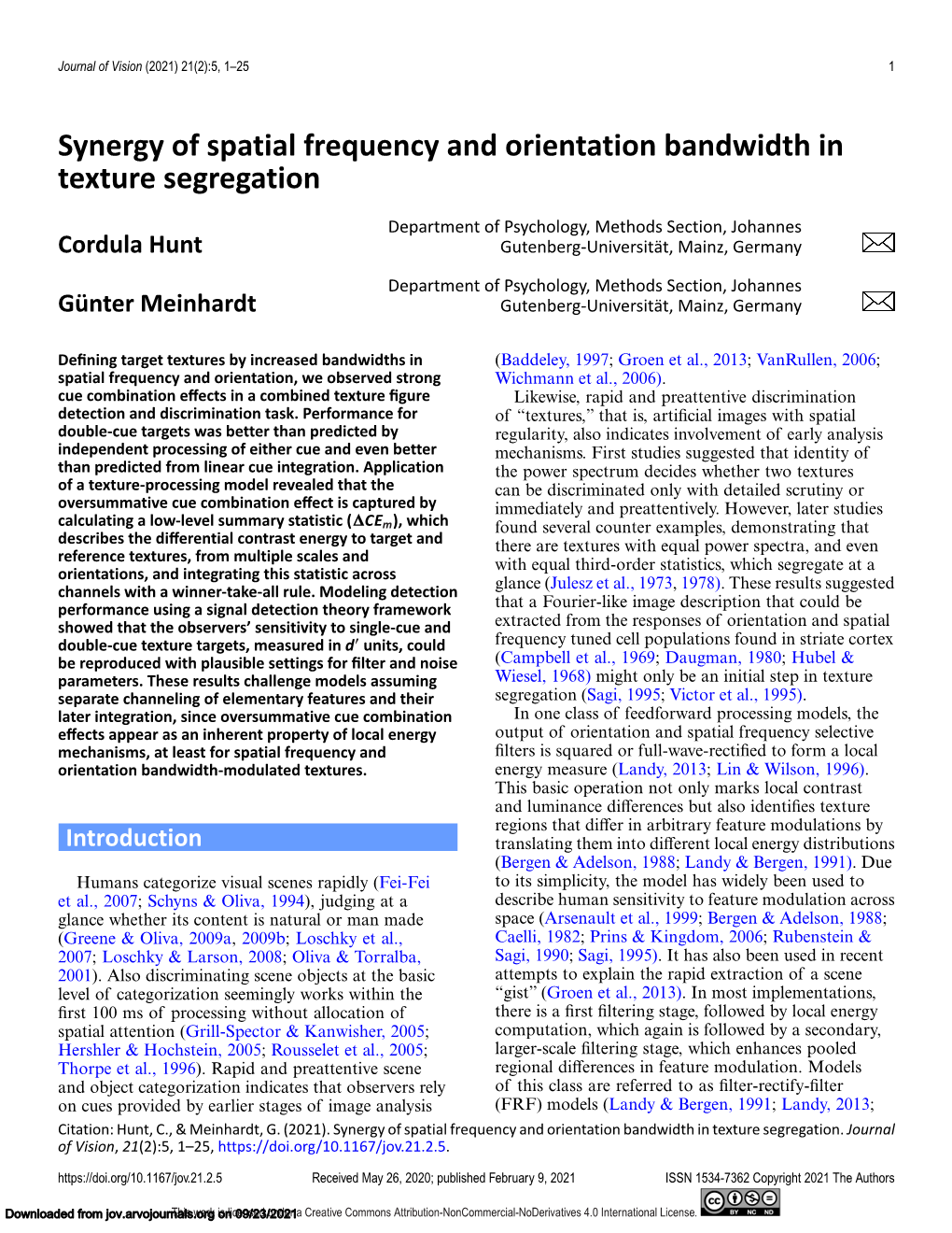 Synergy of Spatial Frequency and Orientation Bandwidth in Texture Segregation