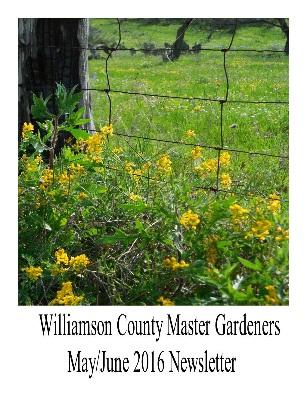 Williamson County Master Gardeners May/June 2016 Newsletter Contents