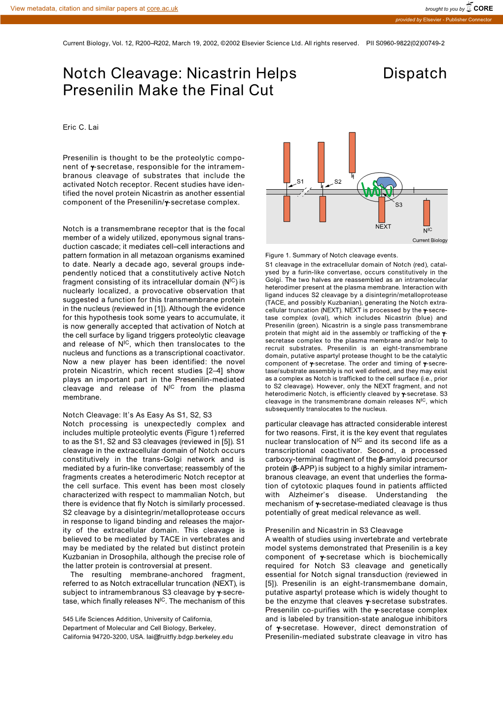 Notch Cleavage: Nicastrin Helps Presenilin Make the Final