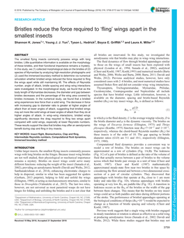 Bristles Reduce the Force Required to 'Fling' Wings Apart in the Smallest