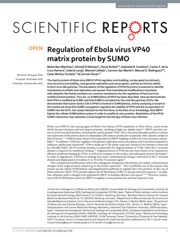 Regulation of Ebola Virus VP40 Matrix Protein by SUMO Maite Baz-Martínez1, Ahmed El Motiam1, Paula Ruibal2,3, Gabriela N