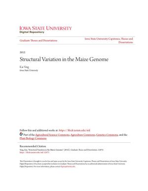 Structural Variation in the Maize Genome Kai Ying Iowa State University