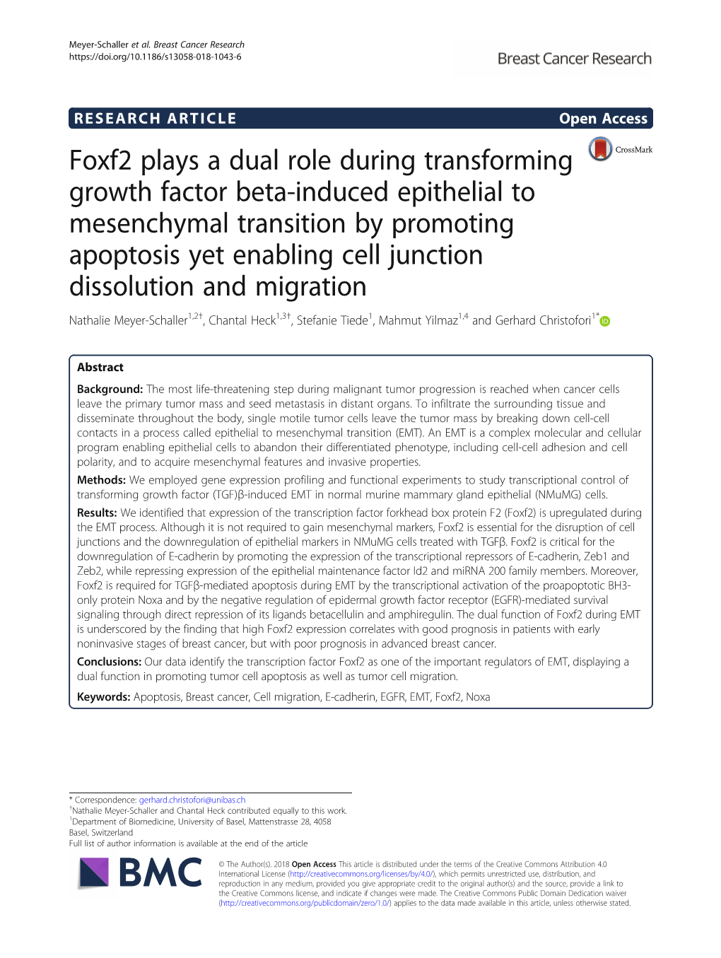 Foxf2 Plays a Dual Role During Transforming Growth Factor Beta