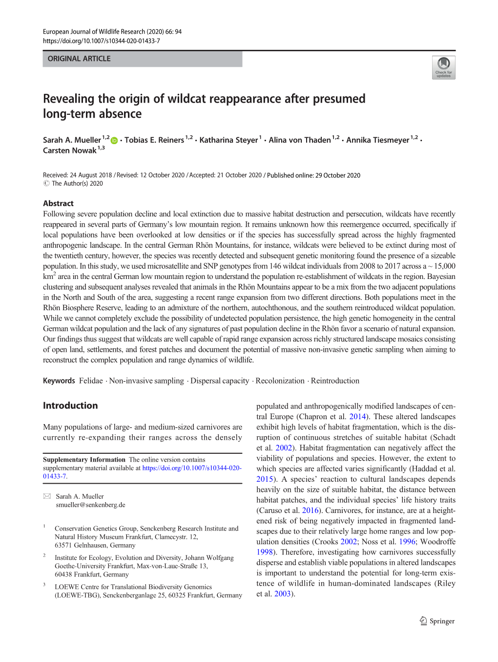 Revealing the Origin of Wildcat Reappearance After Presumed Long-Term Absence