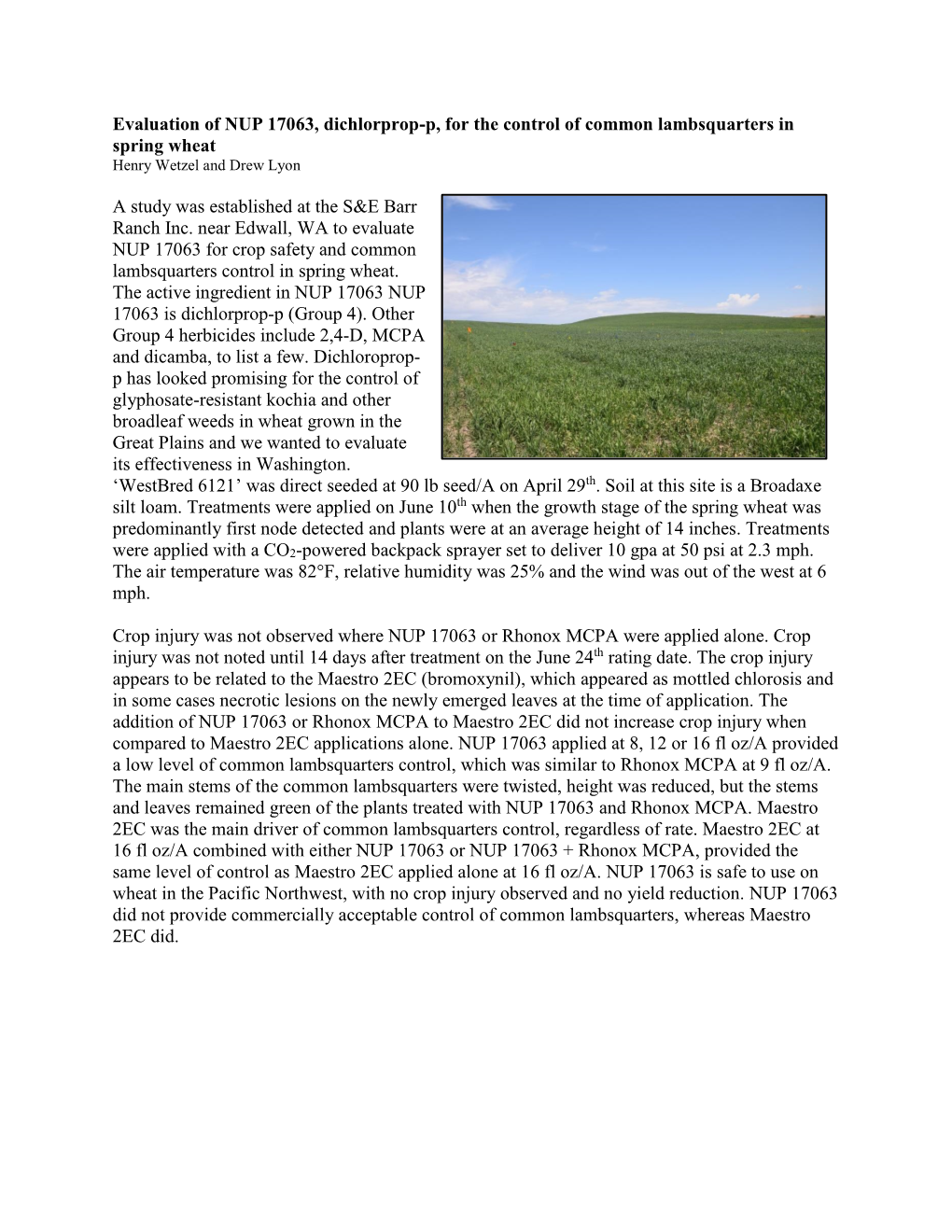 Evaluation of NUP 17063, Dichlorprop-P, for the Control of Common Lambsquarters in Spring Wheat a Study Was Established at the S