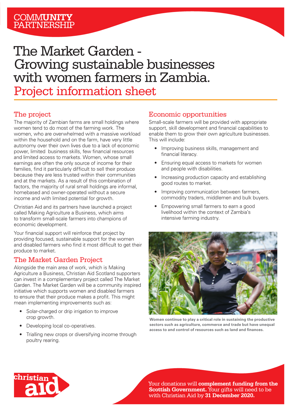 The Market Garden - Growing Sustainable Businesses with Women Farmers in Zambia