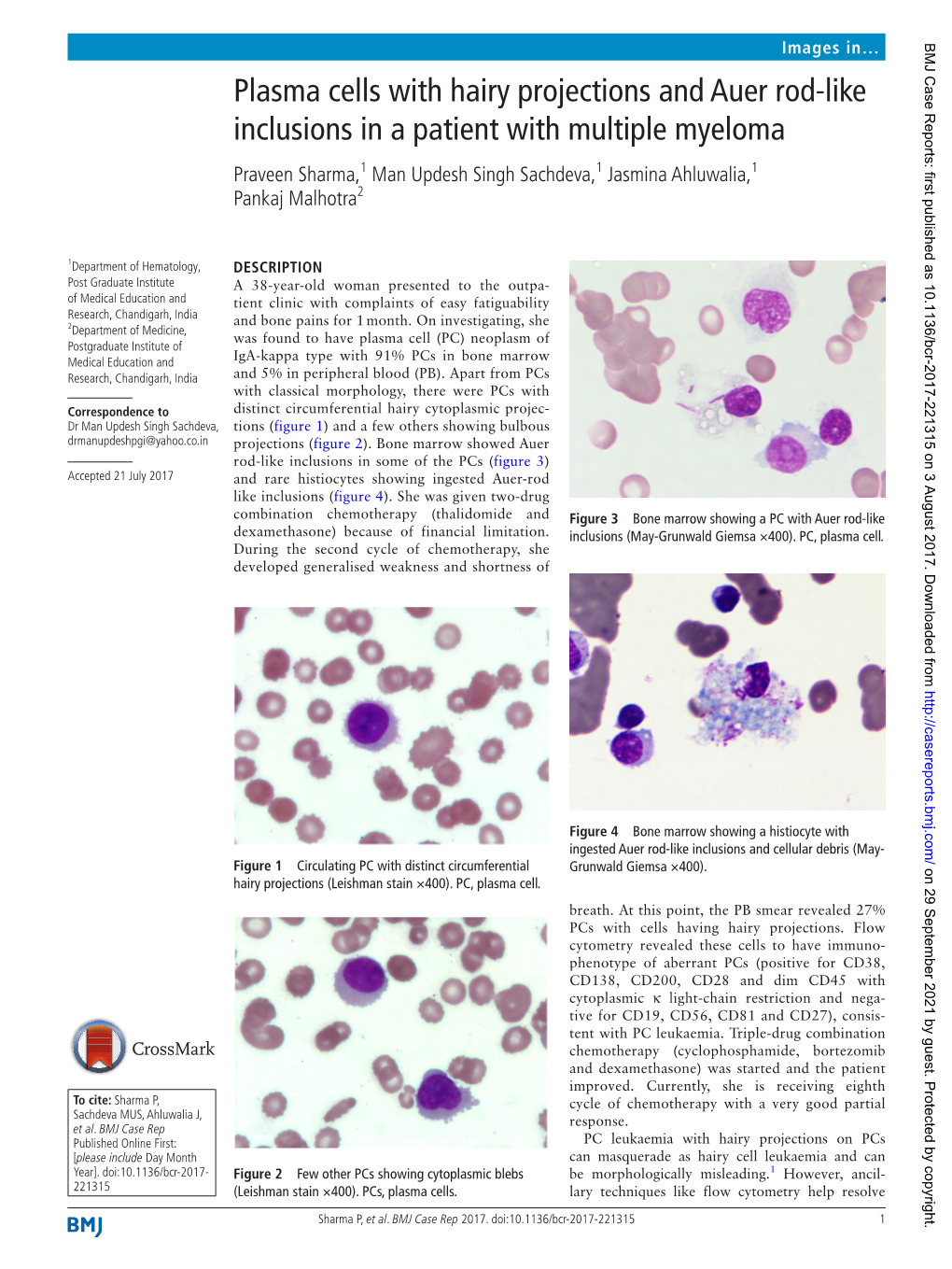 Plasma Cells with Hairy Projections and Auer Rod-Like Inclusions in A ...