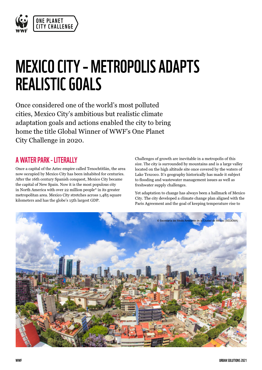 Mexico City – Metropolis Adapts Realistic Goals