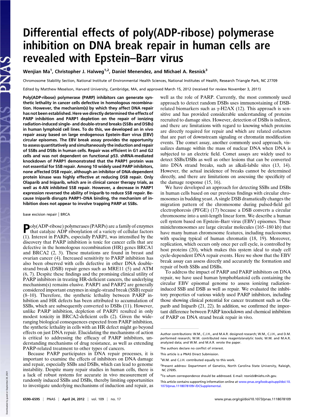 Polymerase Inhibition on DNA Break Repair in Human Cells Are Revealed with Epstein–Barr Virus