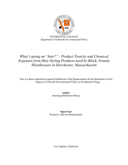 What's Going on “Hair?”: Product Toxicity and Chemical Exposure from Hair Styling Products Used by Black, Female Hairdres