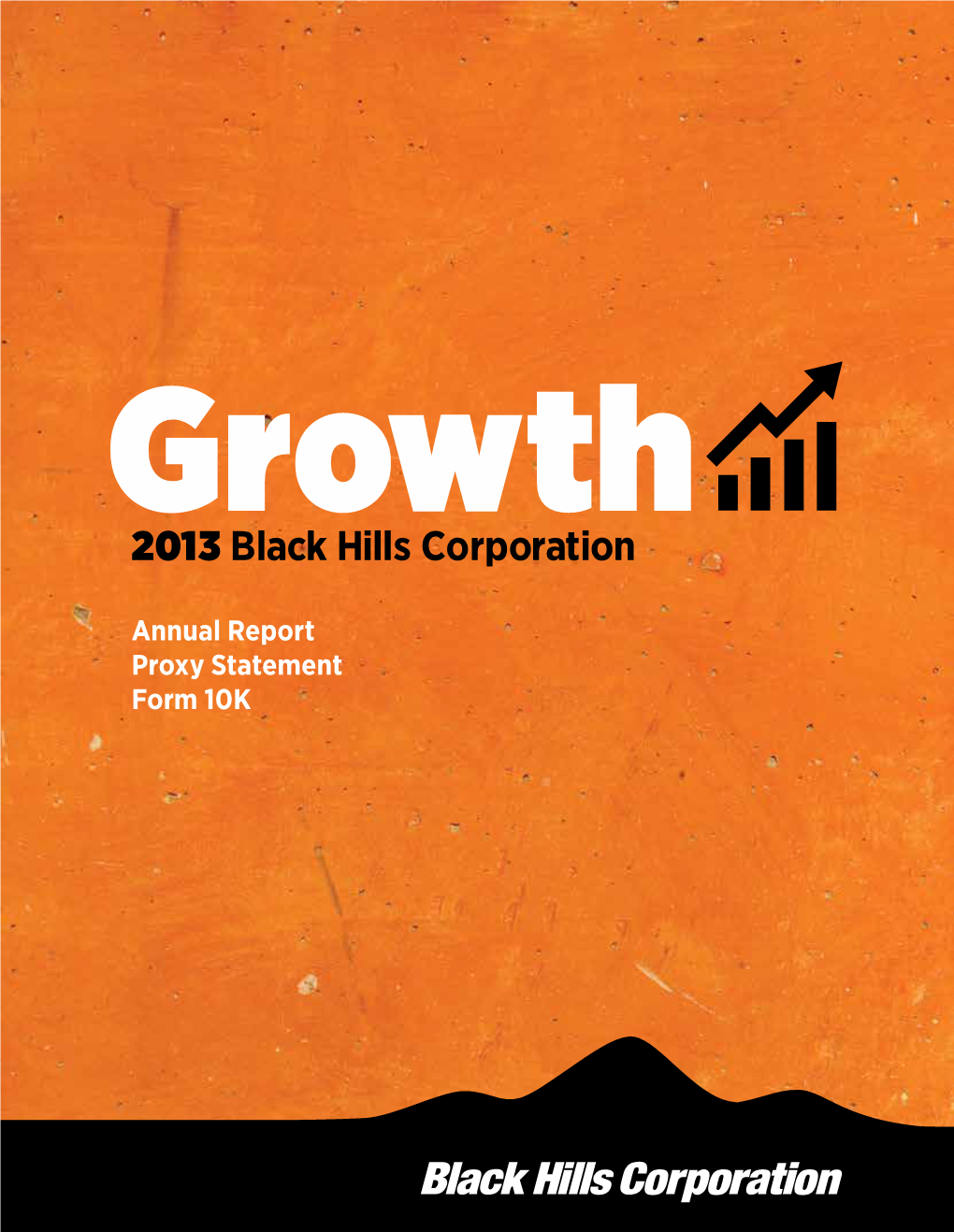 2013 Black Hills Corporation