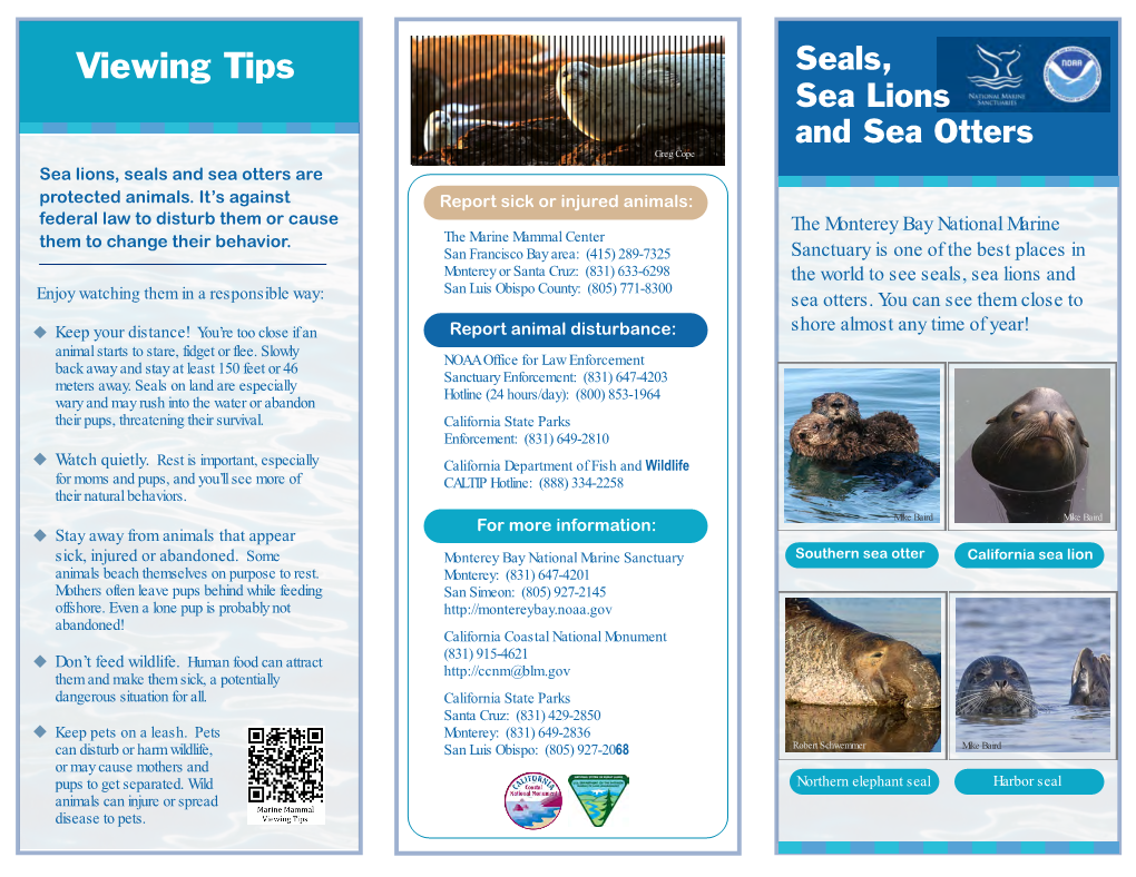 Seals, Sea Lions & Sea Otters Brochure