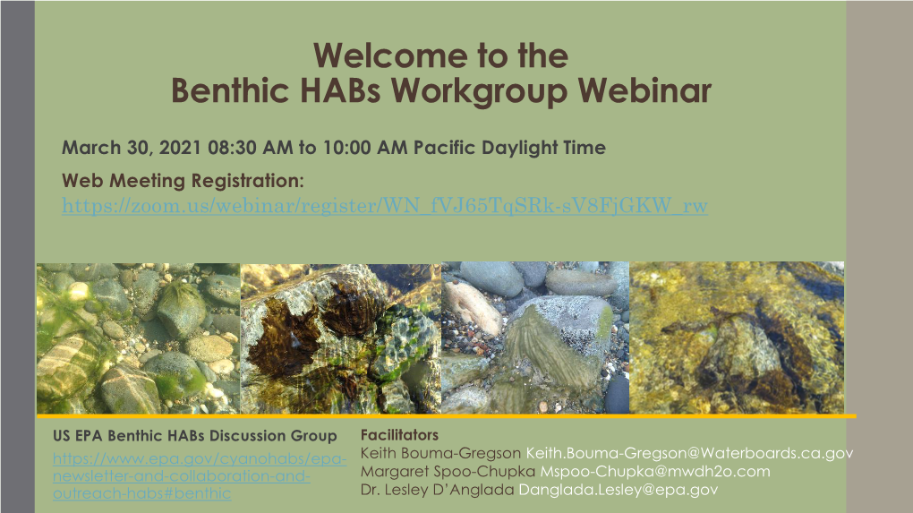Welcome to the Benthic Habs Workgroup Webinar