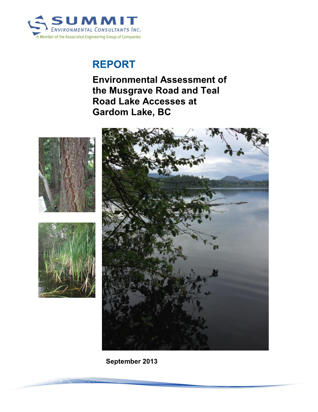 REPORT Environmental Assessment of the Musgrave Road and Teal Road Lake Accesses at Gardom Lake, BC