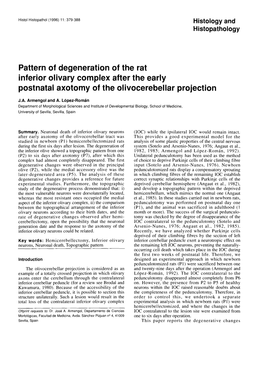 Pattern of Degeneration of the Rat Inferior Olivary Complex After the Early Postnatal Axotomy of the Olivocerebellar Projection