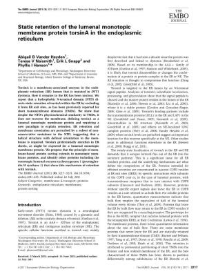 Static Retention of the Lumenal Monotopic Membrane Protein Torsina in the Endoplasmic Reticulum