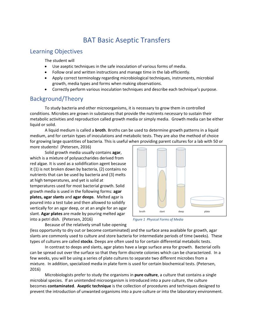 BAT Basic Aseptic Transfers Learning Objectives the Student Will  Use Aseptic Techniques in the Safe Inoculation of Various Forms of Media