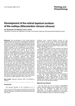 Development of the Retinal Tapetum Lucidum of T He Wa L Leye