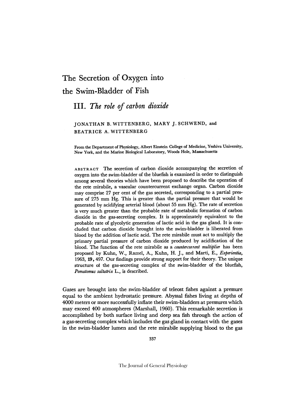 The Secretion of Oxygen Into the Swim-Bladder of Fish III