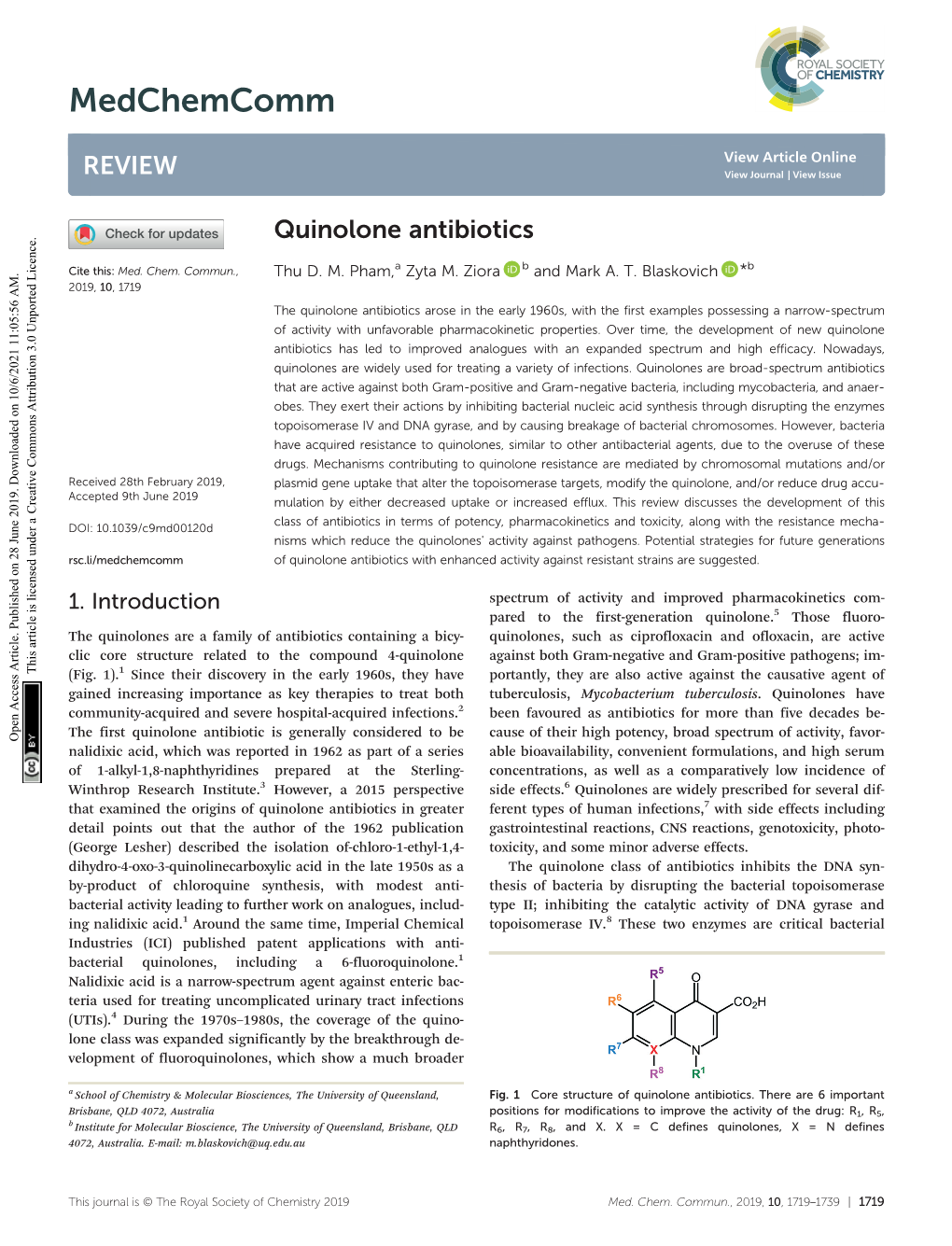 Quinolone Antibiotics