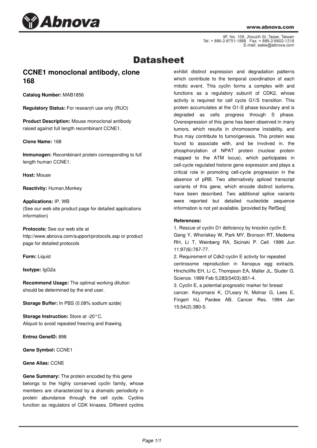 CCNE1 Monoclonal Antibody, Clone Exhibit Distinct Expression and Degradation Patterns 168 Which Contribute to the Temporal Coordination of Each Mitotic Event