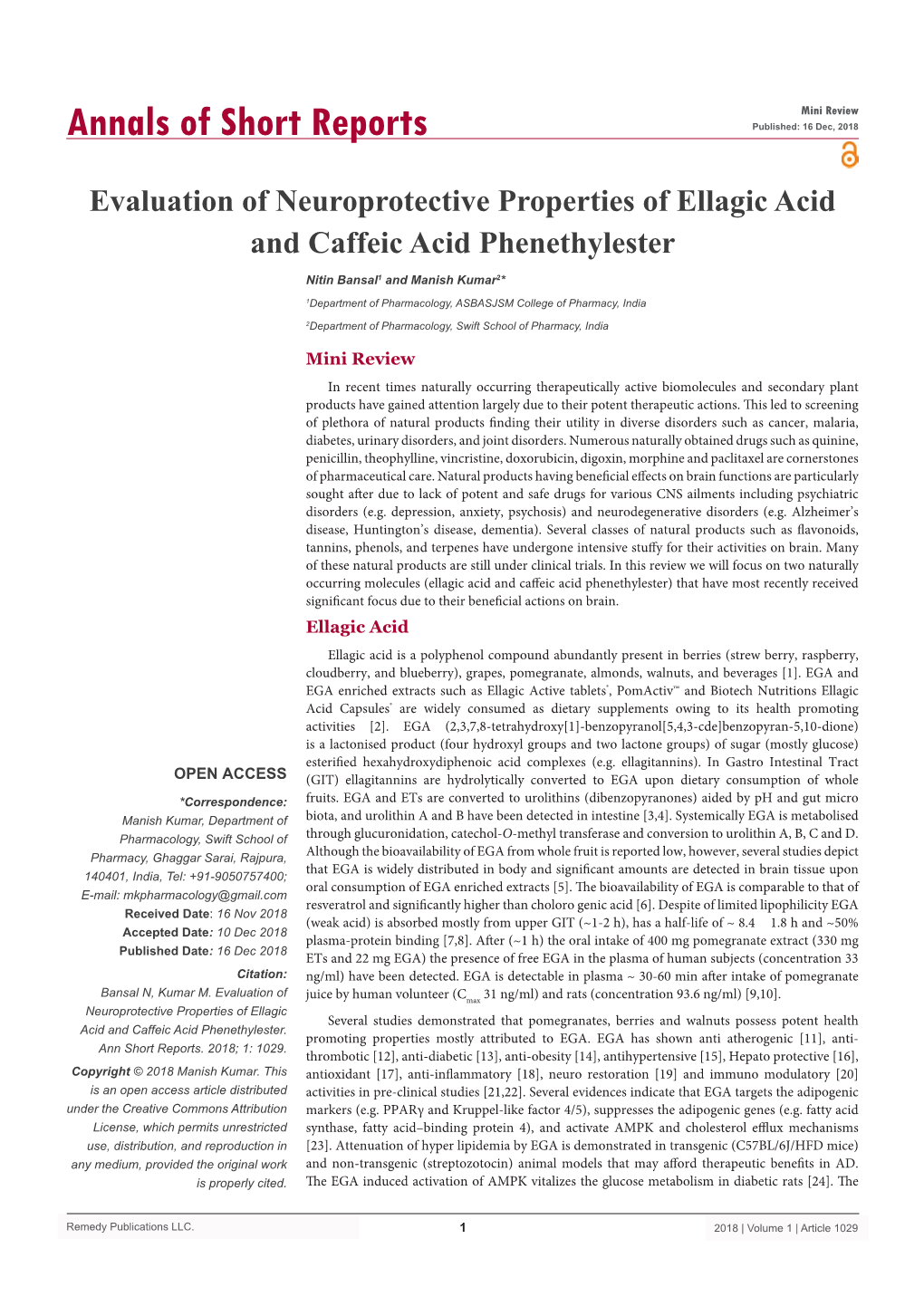 Evaluation of Neuroprotective Properties of Ellagic Acid and Caffeic Acid Phenethylester