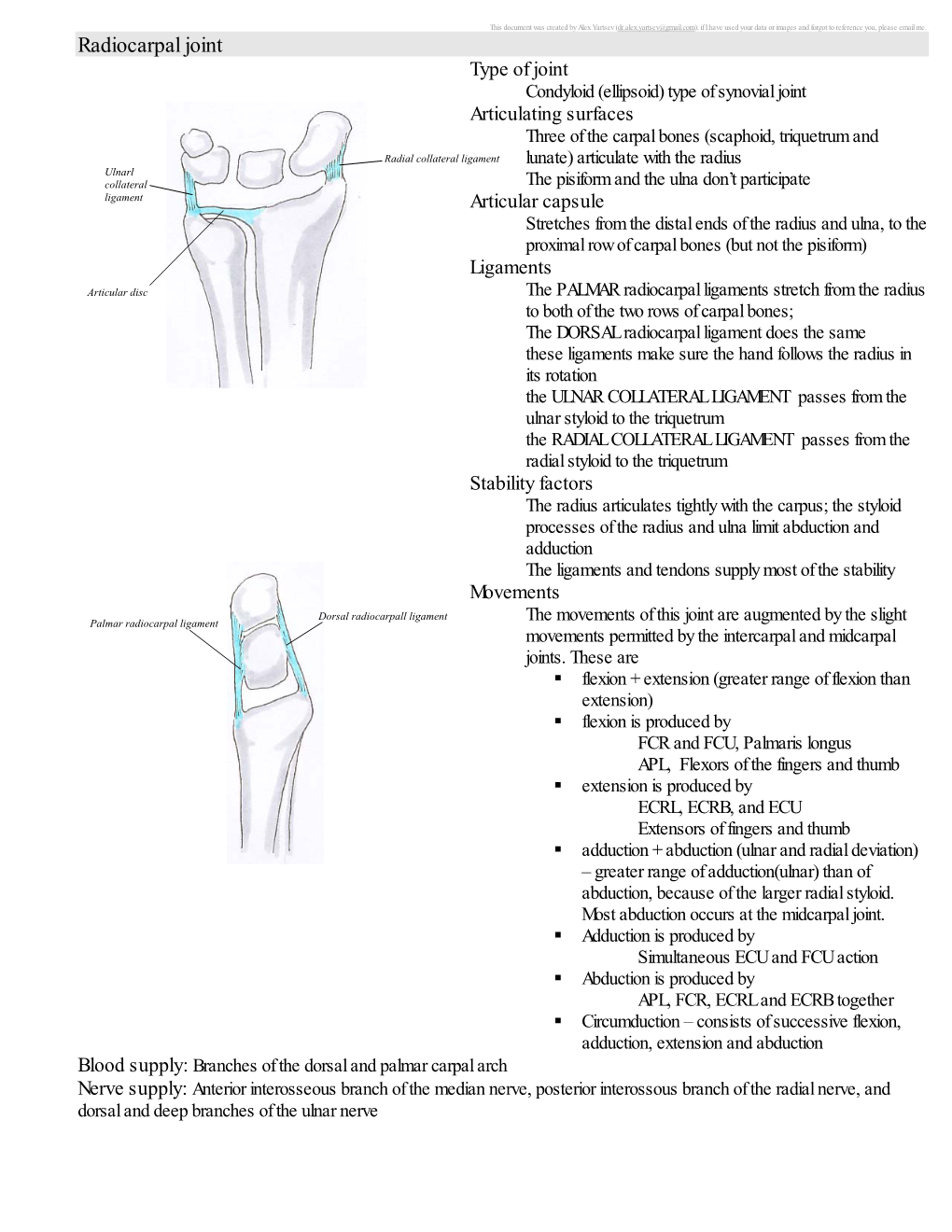 Radiocarpal Joint