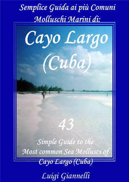 Simple Guide to the Most Common Sea Molluscs: Cayo Largo