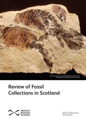 Review of Fossil Collections in Scotland Review of Fossil Collections in Scotland