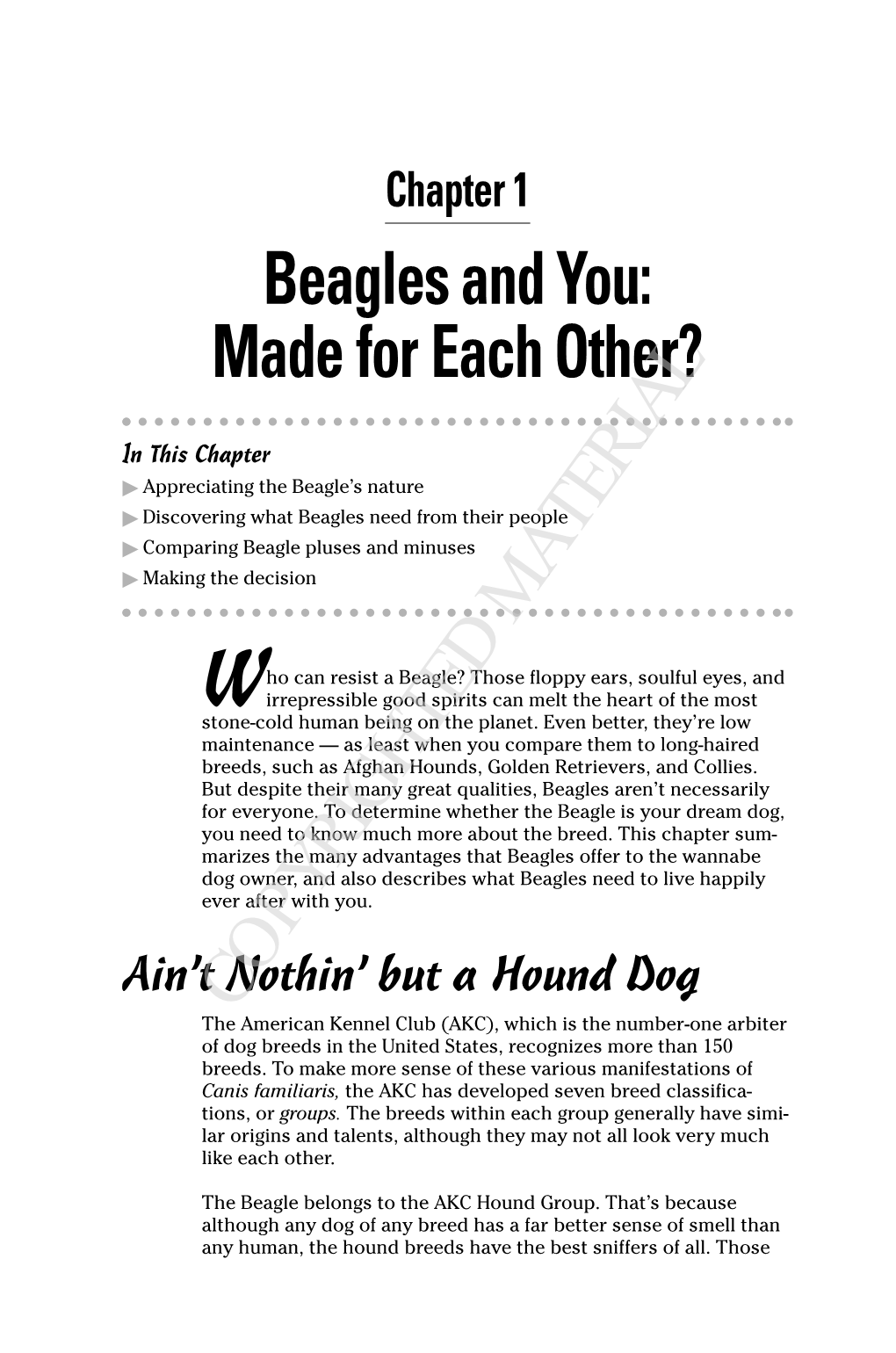 Beagles and You: Made for Each Other?