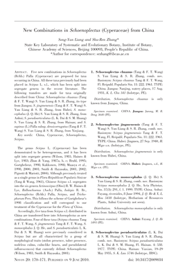 New Combinations in Schoenoplectus (Cyperaceae) from China