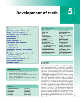 Development-Of-Tooth.Pdf