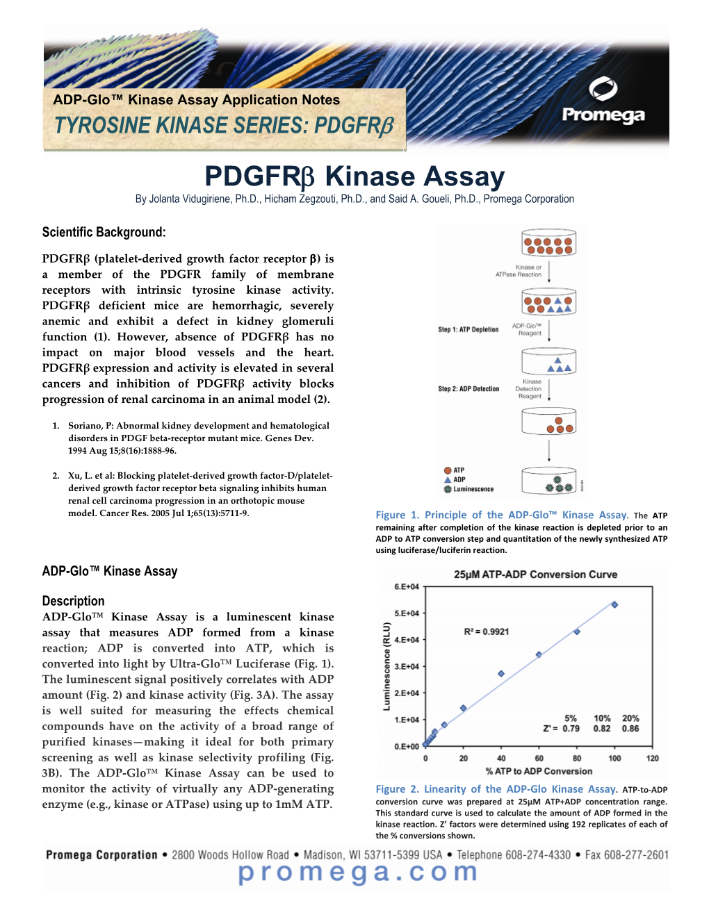 Pdgfrβ Kinase Assay by Jolanta Vidugiriene, Ph.D., Hicham Zegzouti, Ph.D., and Said A