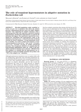 The Role of Transient Hypermutators in Adaptive Mutation in Escherichia Coli