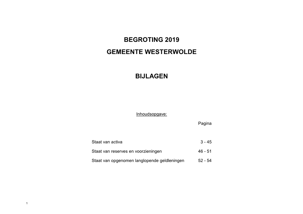Begroting 2019 Gemeente Westerwolde Bijlagen
