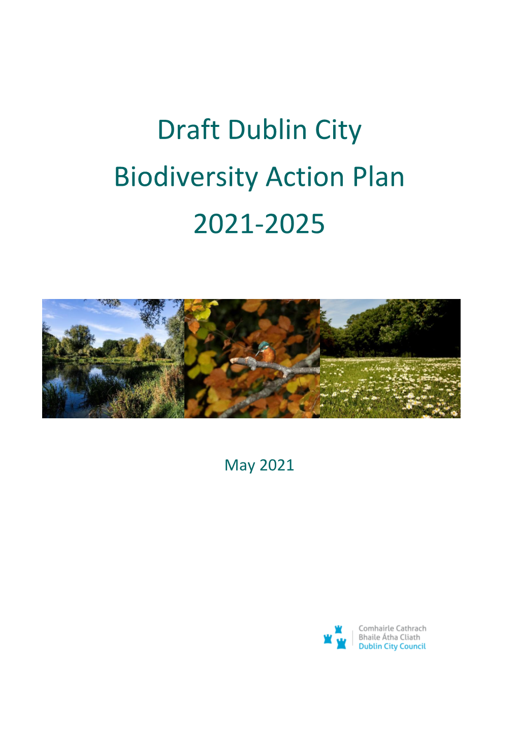 Draft Dublin City Biodiversity Action Plan 2021-2025
