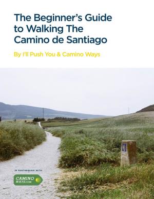 The Beginner's Guide to Walking the Camino De Santiago