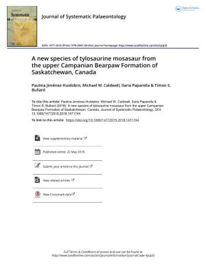 A New Species of Tylosaurine Mosasaur from the Upper Campanian Bearpaw Formation of Saskatchewan, Canada Paulina JimEnez-Huidobroa*, Michael W