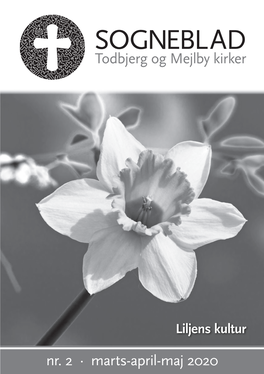 Todbjerg – Mejlby Menighedsråd